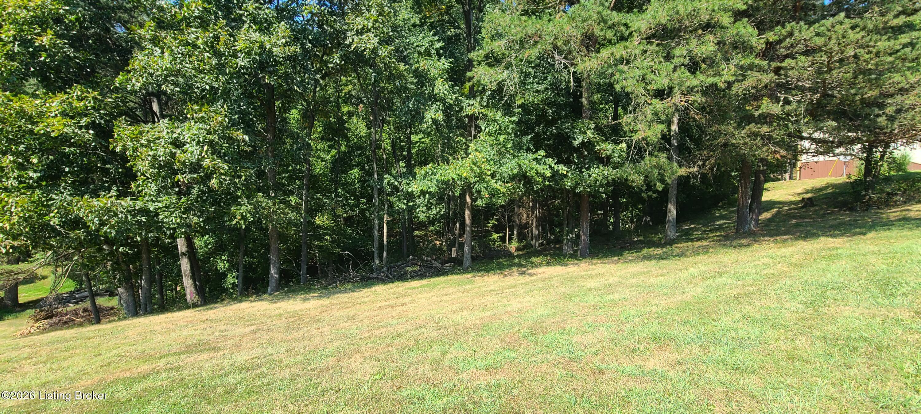 1580 Wilson Creek Road Boston, KY 40107 - Photo 48 of 54 another view 3