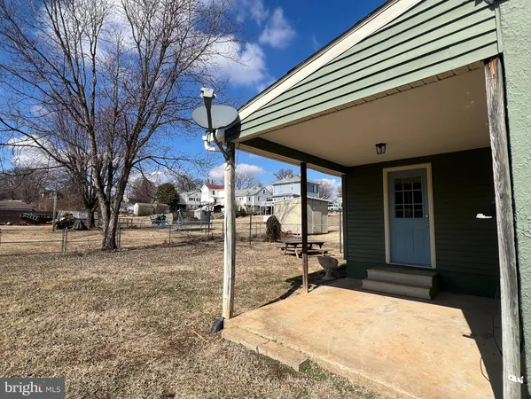 a view of a backyard with large trees