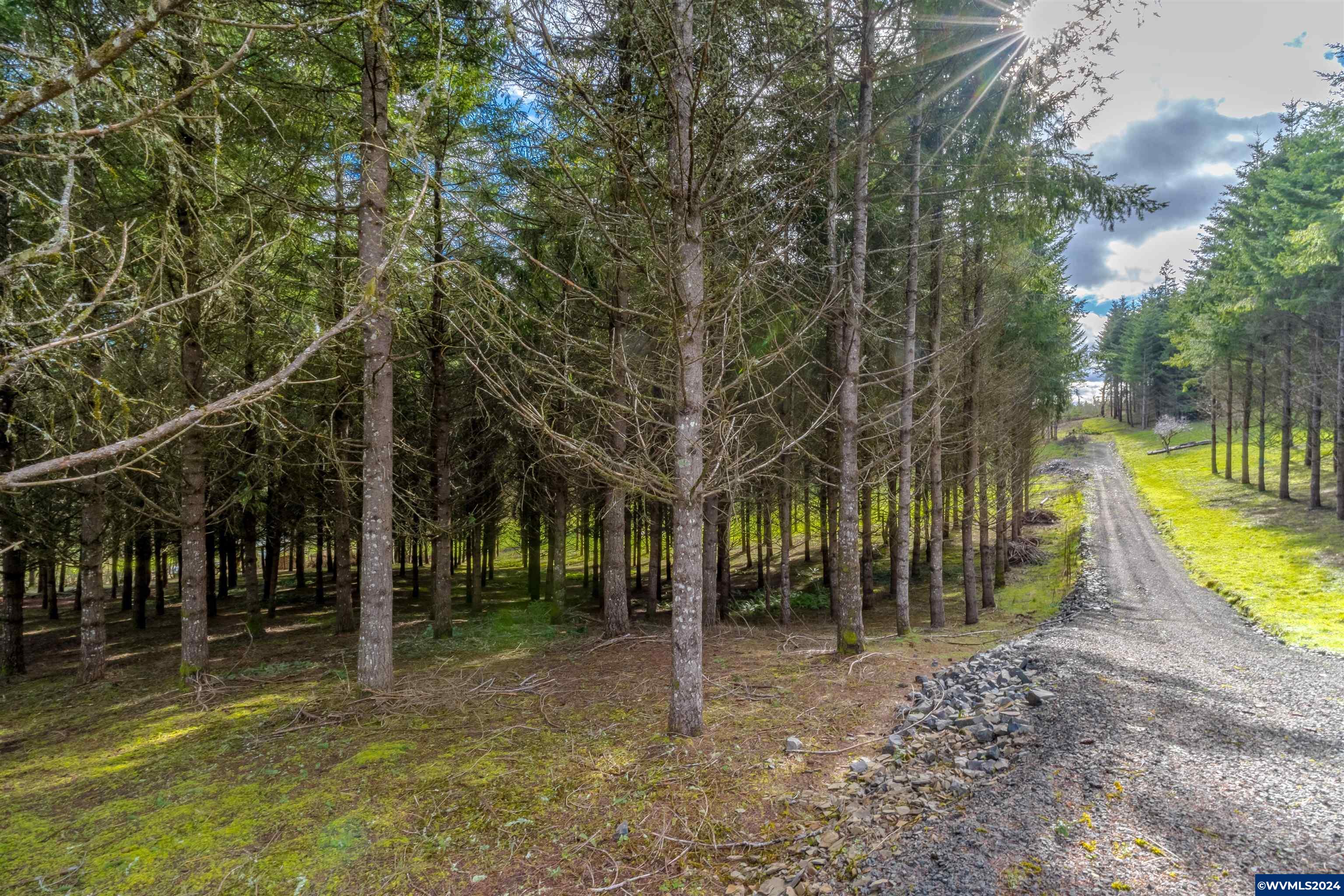 Larson (ta R421034) Road Monroe, OR 97456 - Photo 10 of 30