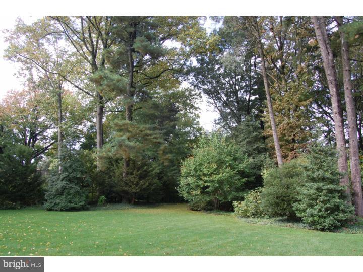 401 Roumfort Road Philadelphia, PA 19119 - Photo 19 of 25 Back Yard