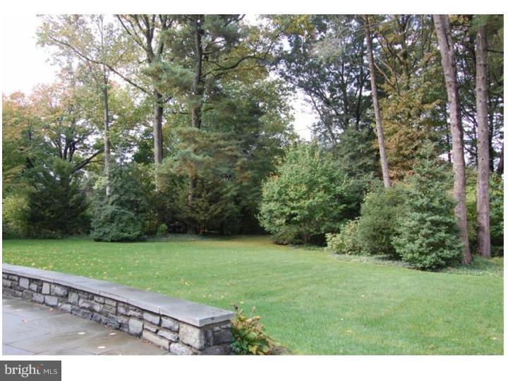 401 Roumfort Road Philadelphia, PA 19119 - Photo 20 of 25 Back Yard