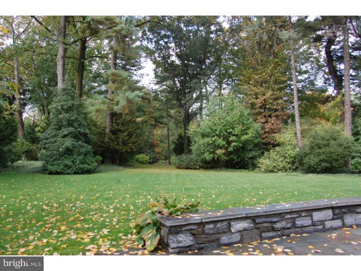 401 Roumfort Road Philadelphia, PA 19119 - Photo 21 of 25 Back Yard