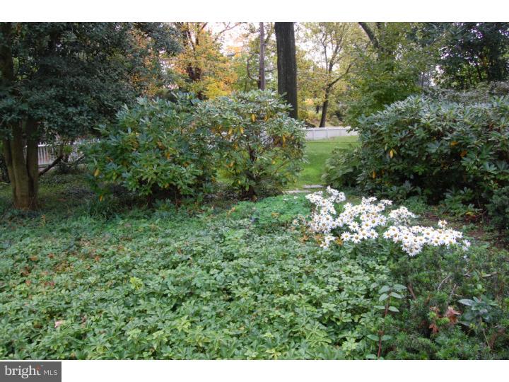 401 Roumfort Road Philadelphia, PA 19119 - Photo 22 of 25 Garden