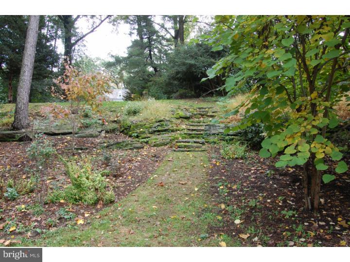 401 Roumfort Road Philadelphia, PA 19119 - Photo 24 of 25 Back Yard