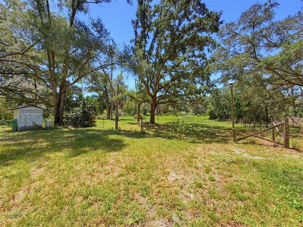 15234 Scanio Drive Spring Hill, FL 34610 - Photo 77 of 99