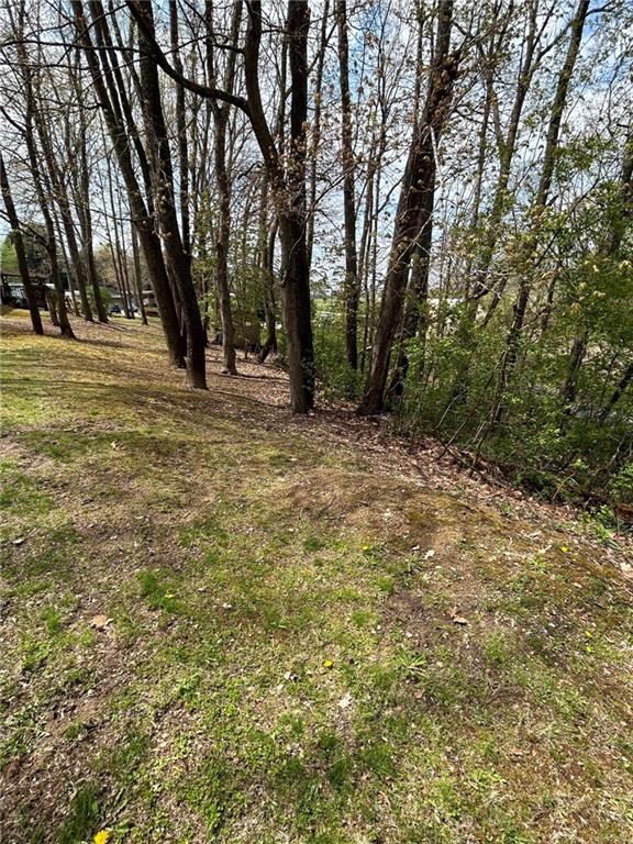 507 Reed Lane Butler, PA 16001 - Photo 4 of 21 a view of outdoor space with trees