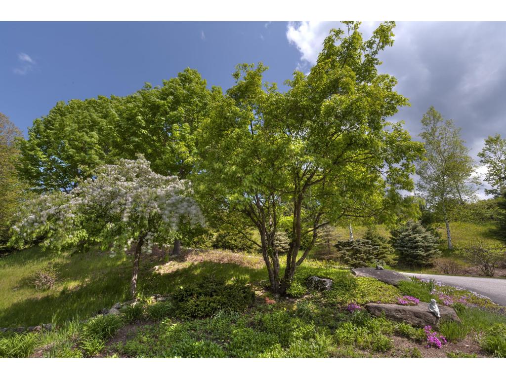 128 Brown Hill Road Sunapee, NH 03782 - Photo 22 of 26 Gallery Image 22
