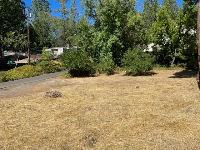 a view of a yard with trees