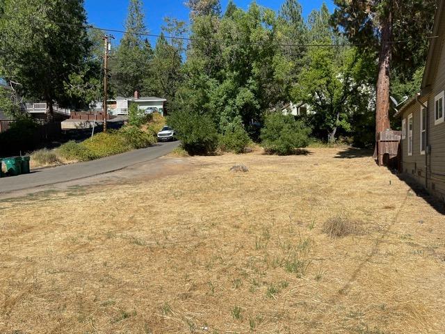 3095 Cedar Ravine Road Placerville, CA 95667 - Photo 12 of 37