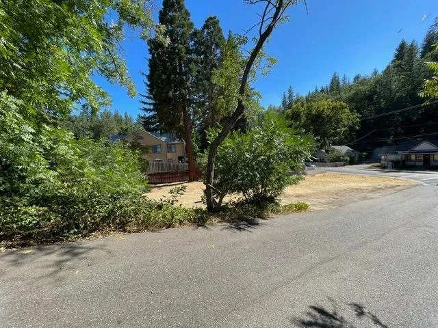 a road view along with trees