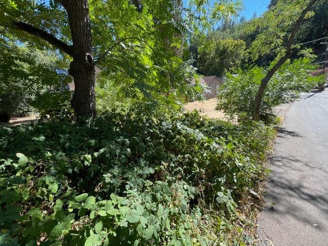 3095 Cedar Ravine Road Placerville, CA 95667 - Photo 26 of 37