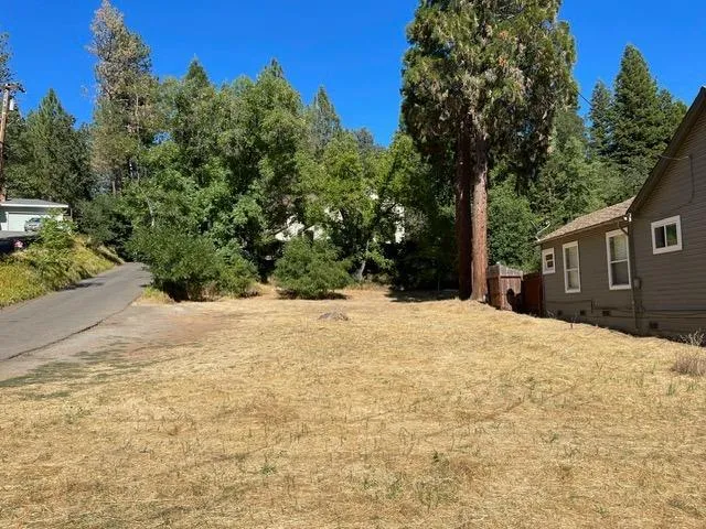 a backyard of a house with large trees and plants