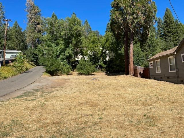 3095 Cedar Ravine Road Placerville, CA 95667 - Photo 31 of 37