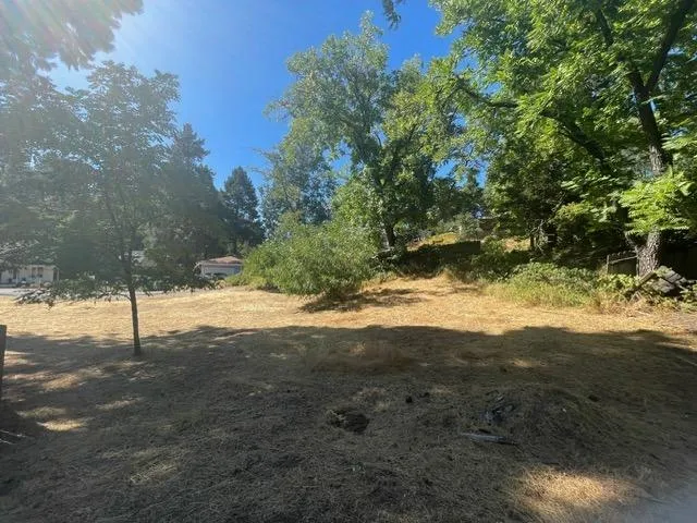 a view of yard with tree