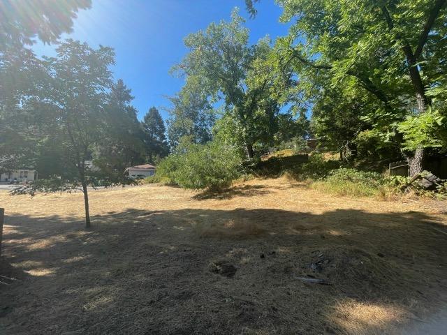 3095 Cedar Ravine Road Placerville, CA 95667 - Photo 4 of 37