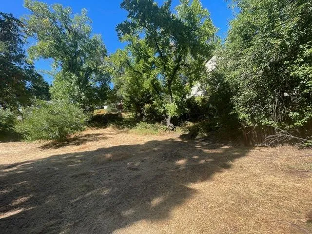 a view of a yard with a tree
