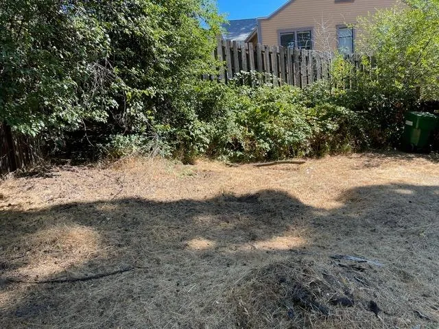 a view of a yard with plants and trees