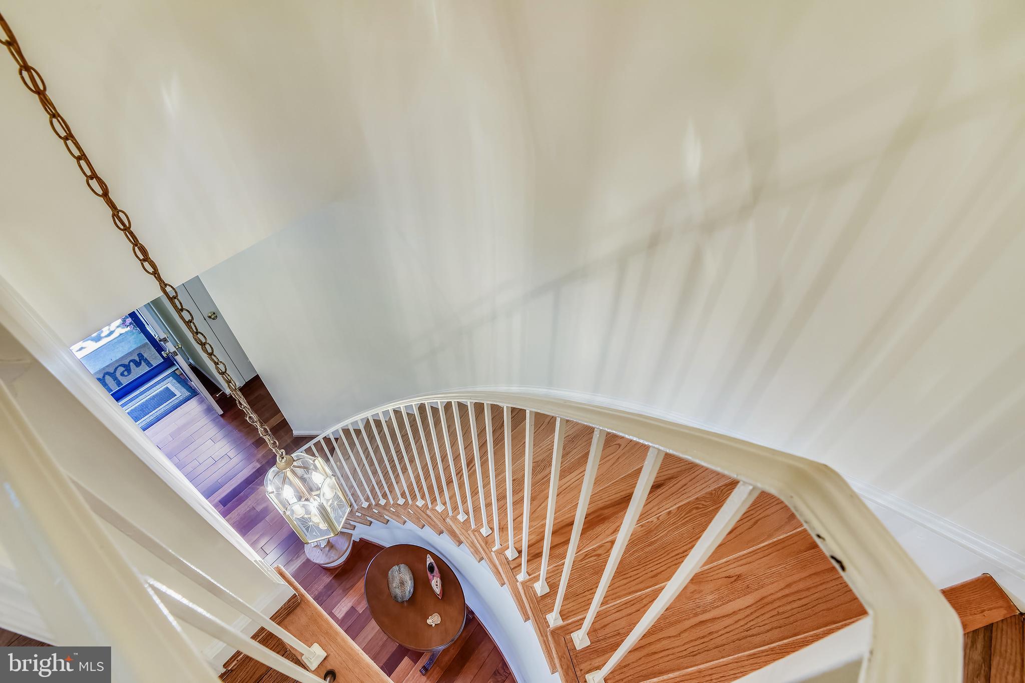 8523 Forrester Boulevard Springfield, VA 22152 - Photo 13 of 36 Elegant curved staircase