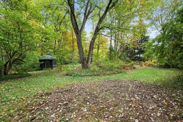 a view of a lush green forest