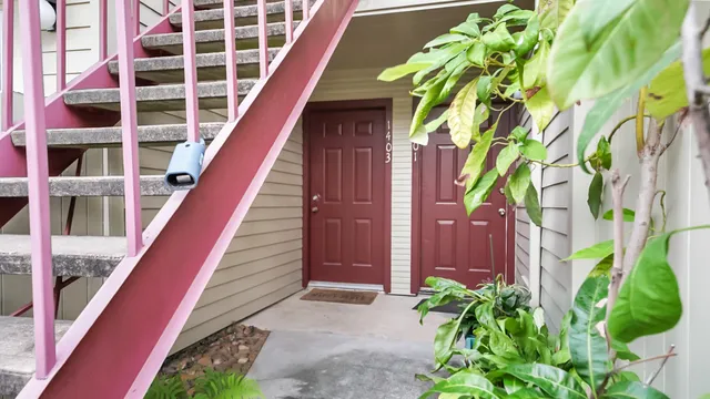 a house with a plant in front of it