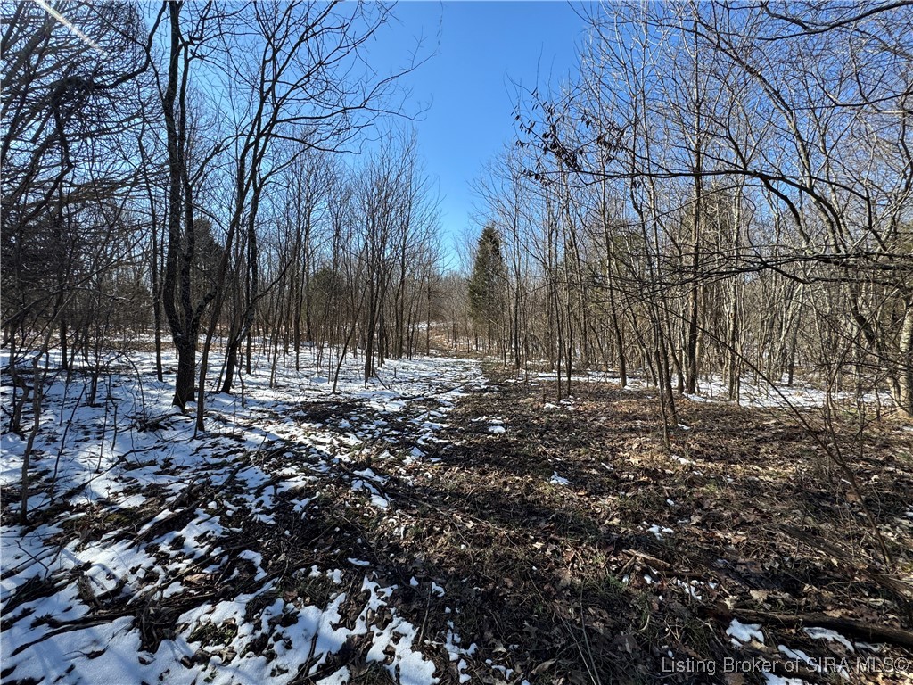 4 In-237 English, IN 47118 - Photo 7 of 27