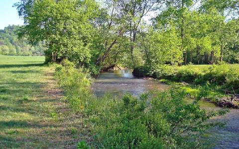 14.15 Whitepath Road Ellijay, GA 30540 - Photo 1 of 1 Main View