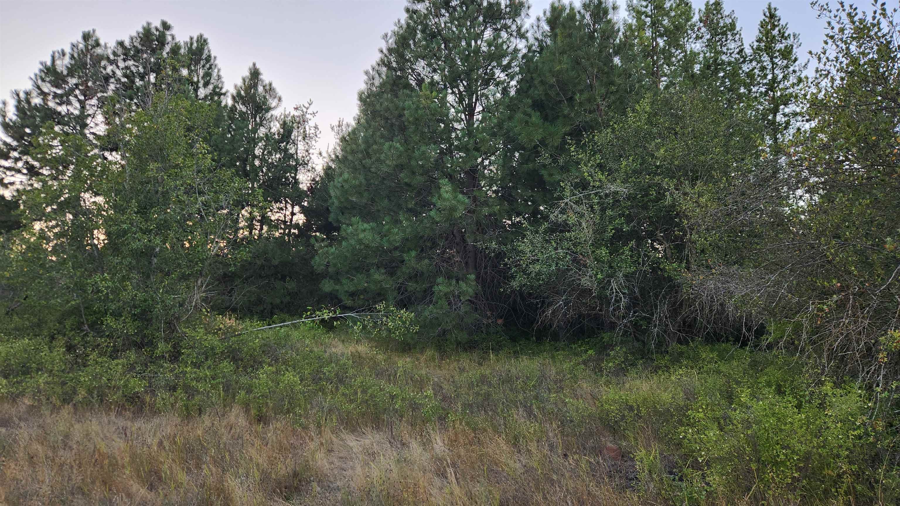 0 West Enoch Road Deer Park, WA 99006 - Photo 12 of 13 Gallery Image 12