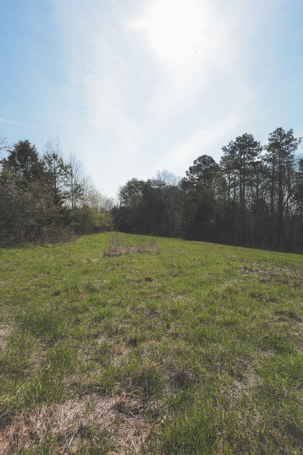 527 Dyer Hollow Road Dayton, TN 37321 - Photo 32 of 61 Gallery Image 32
