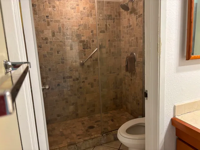 a bathroom with a shower and a toilet