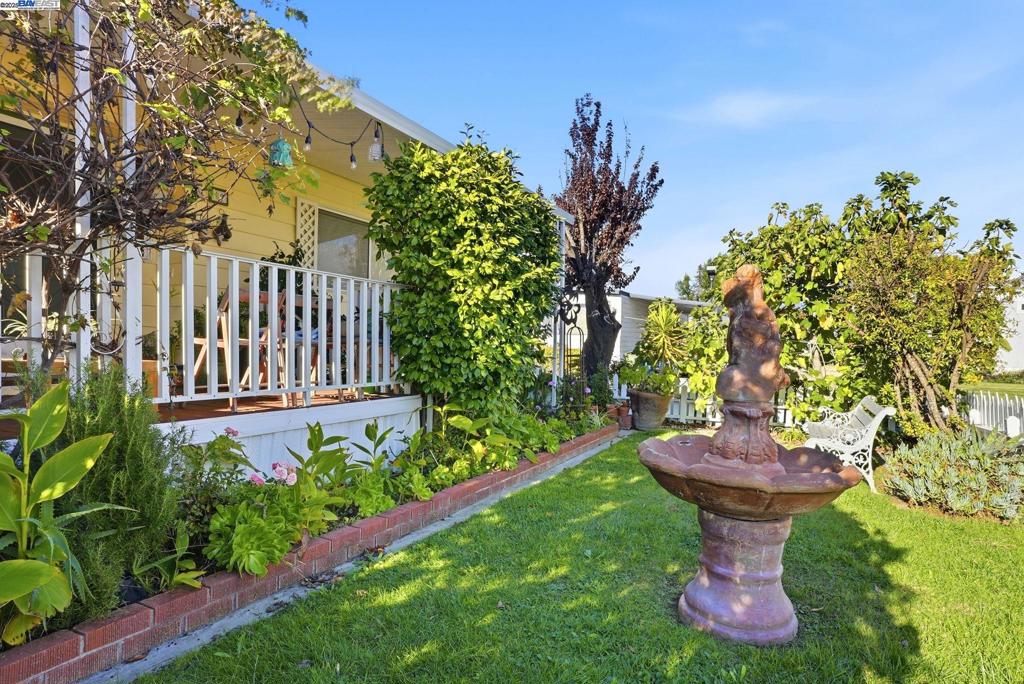 4141 Deep Creek Road Fremont, CA 94555 - Photo 40 of 54 a view of a backyard with plants