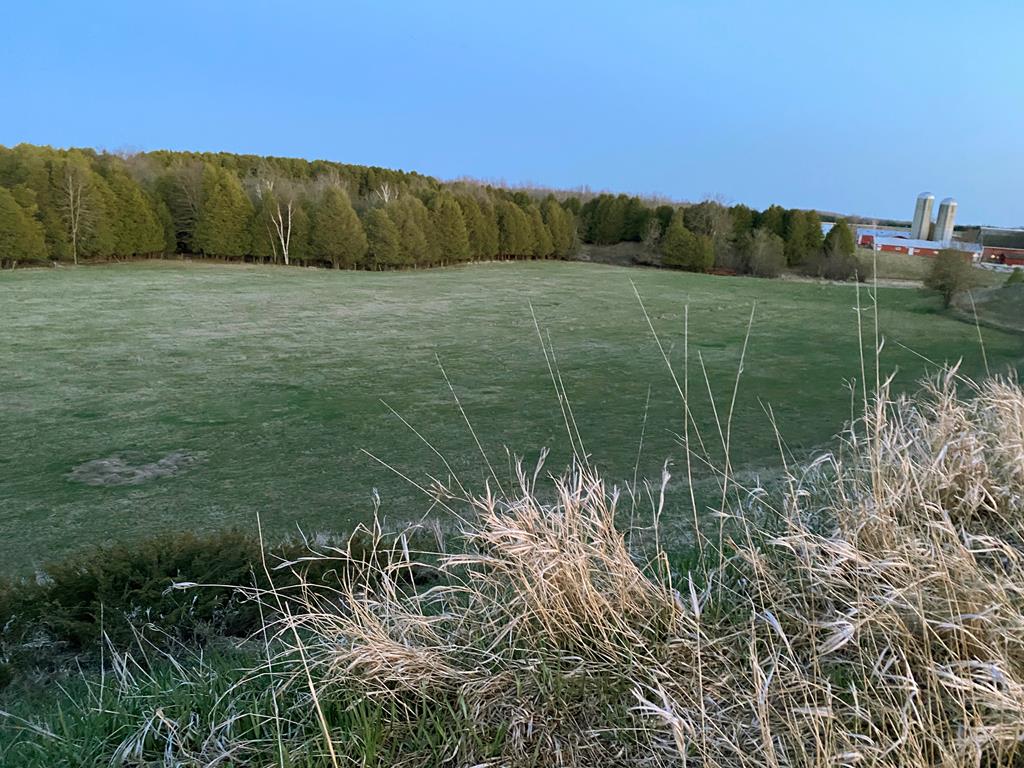 S Shiloh Road Algoma, WI 54201 - Photo 1 of 19