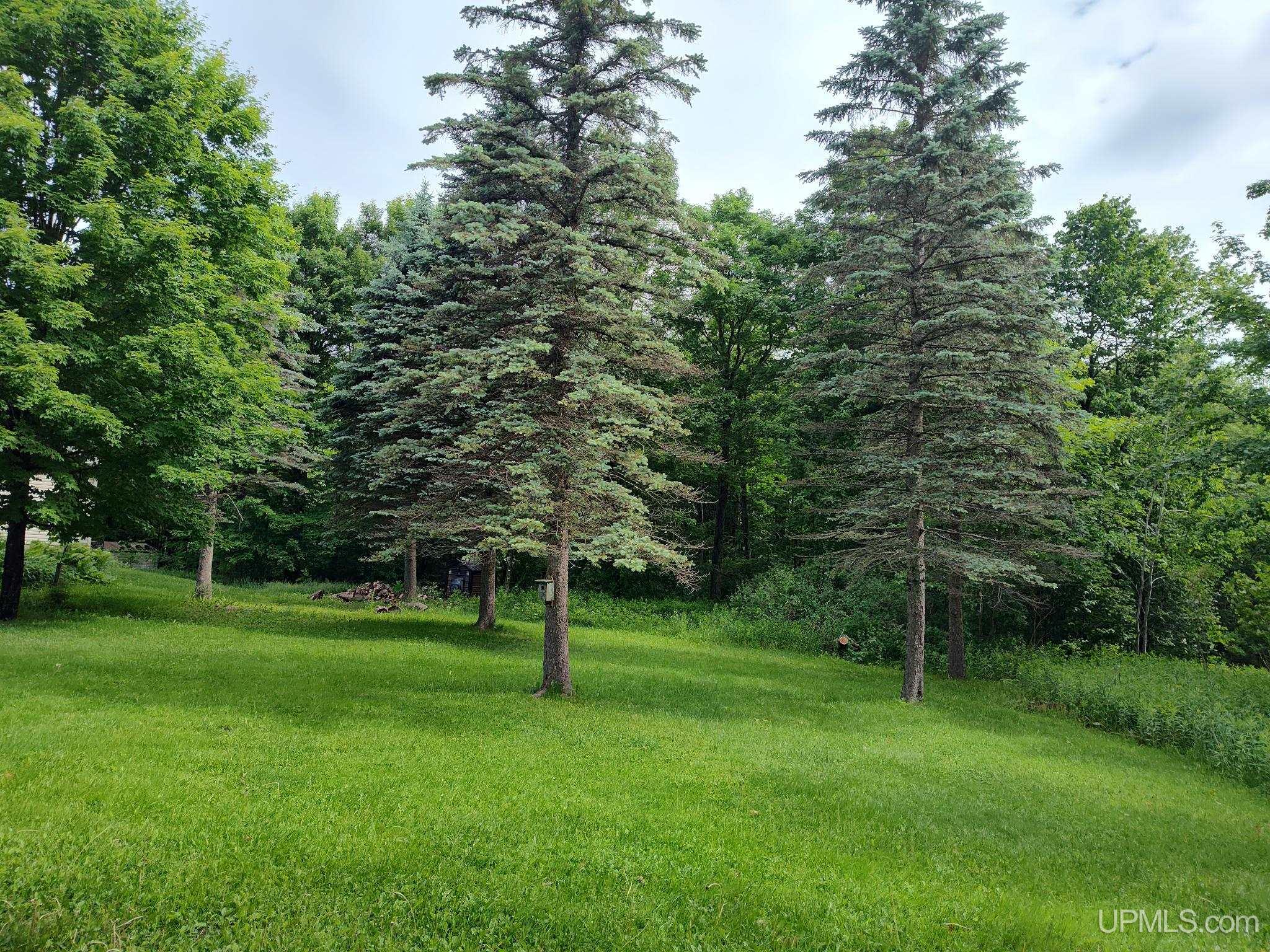 497 Bates-Amasa Road Iron River, MI 49935 - Photo 2 of 40
