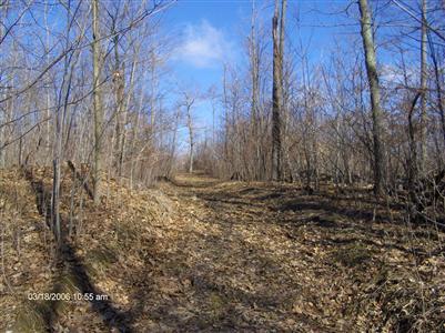 8373 Cambria Road Reading, MI 49274 - Photo 16 of 21 Additional Photo
