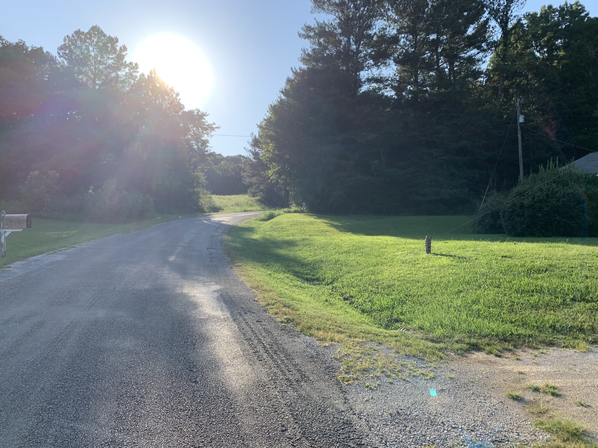 1585 Laster School Road Huron, TN 38345 - Photo 13 of 14 a view of a yard with a tree