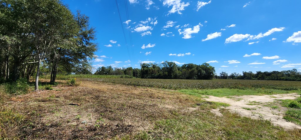92 County Road 92 Slocomb, AL 36375 - Photo 14 of 32