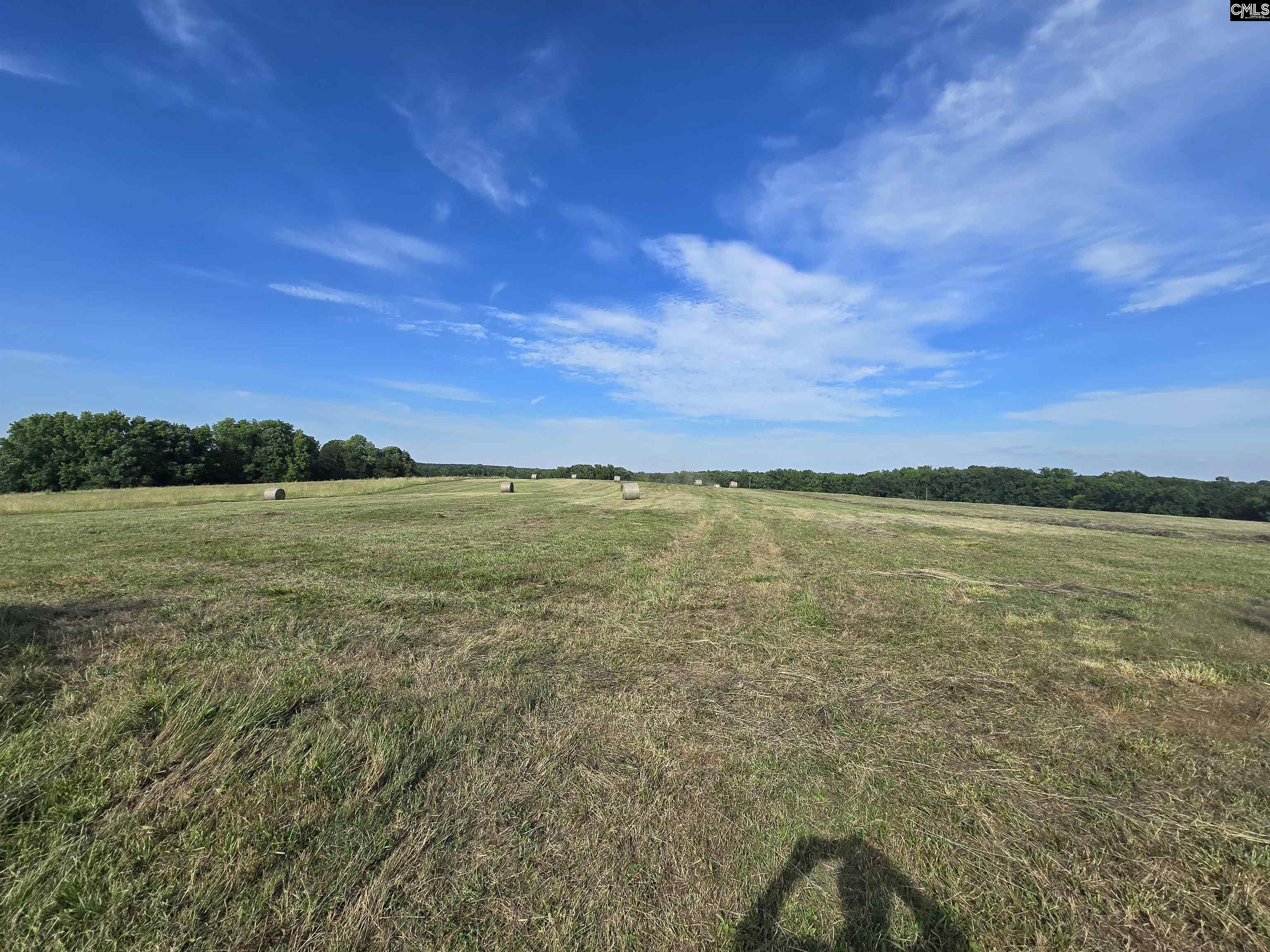 542 Pea Ridge Highway Jonesville, SC 29353 - Photo 8 of 72