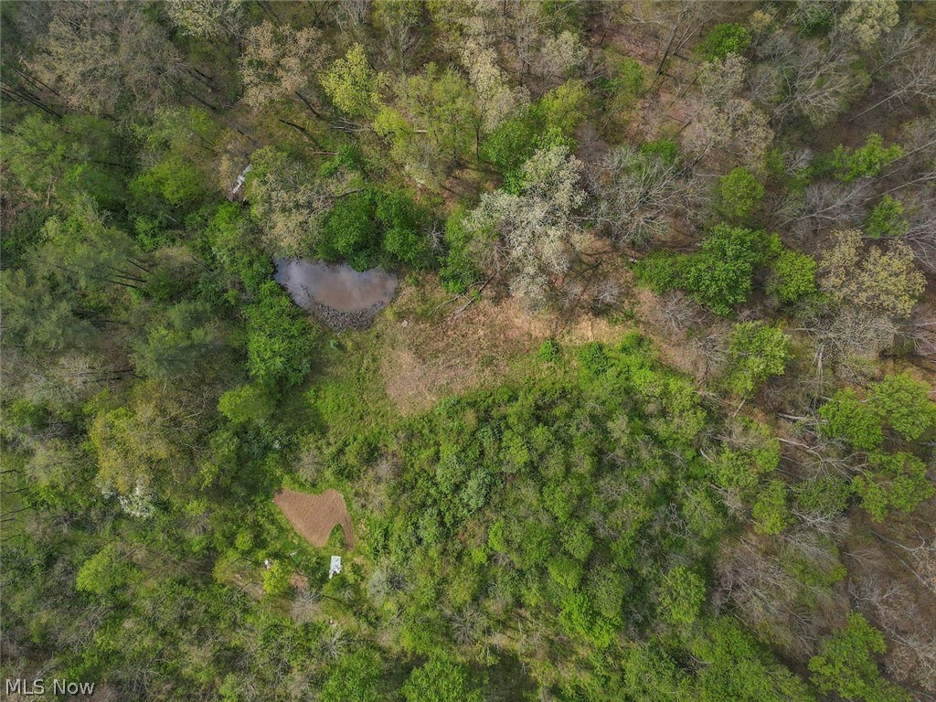 6879 Beard Price Road Glouster, OH 45732 - Photo 43 of 50