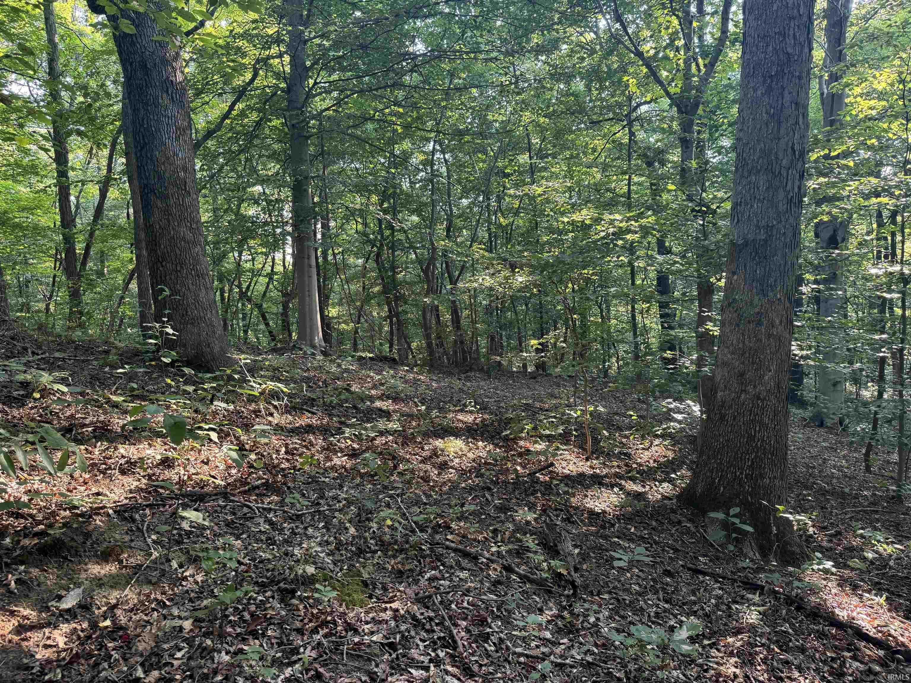 Brushy Fork Road Tell City, IN 47586 - Photo 31 of 47 Gallery Image 31