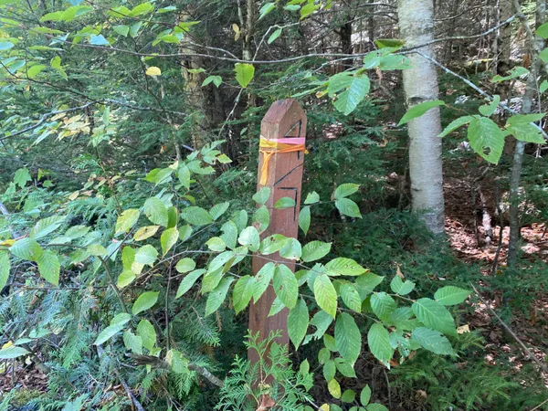 $499,000 | M06-lot18 Sys Road, Lakeville, ME 04487