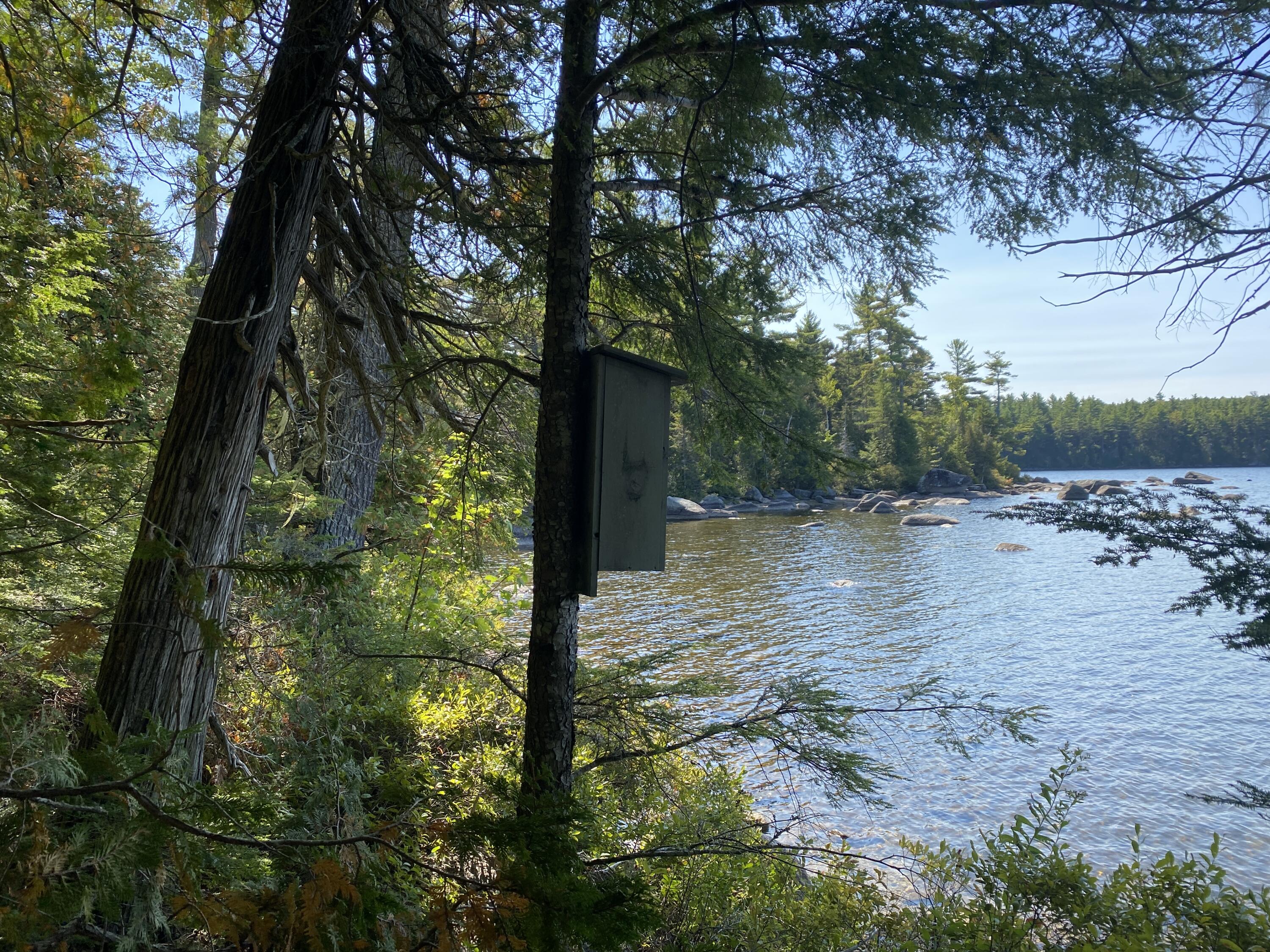 M06-lot18 Sys Road Lakeville, ME 04487 - Photo 17 of 22 IMG_18 Cover