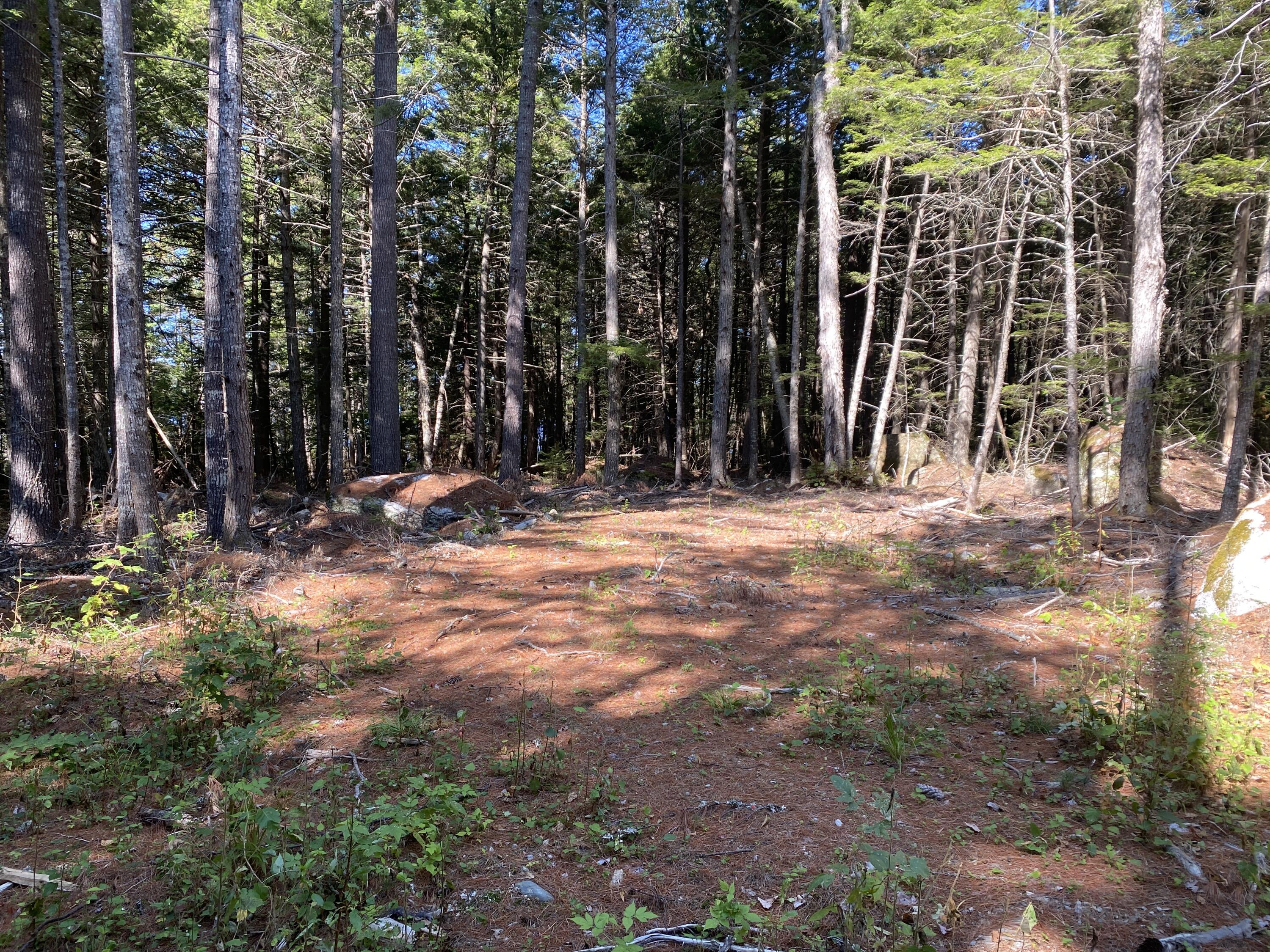 M06-lot18 Sys Road Lakeville, ME 04487 - Photo 6 of 22 IMG_7