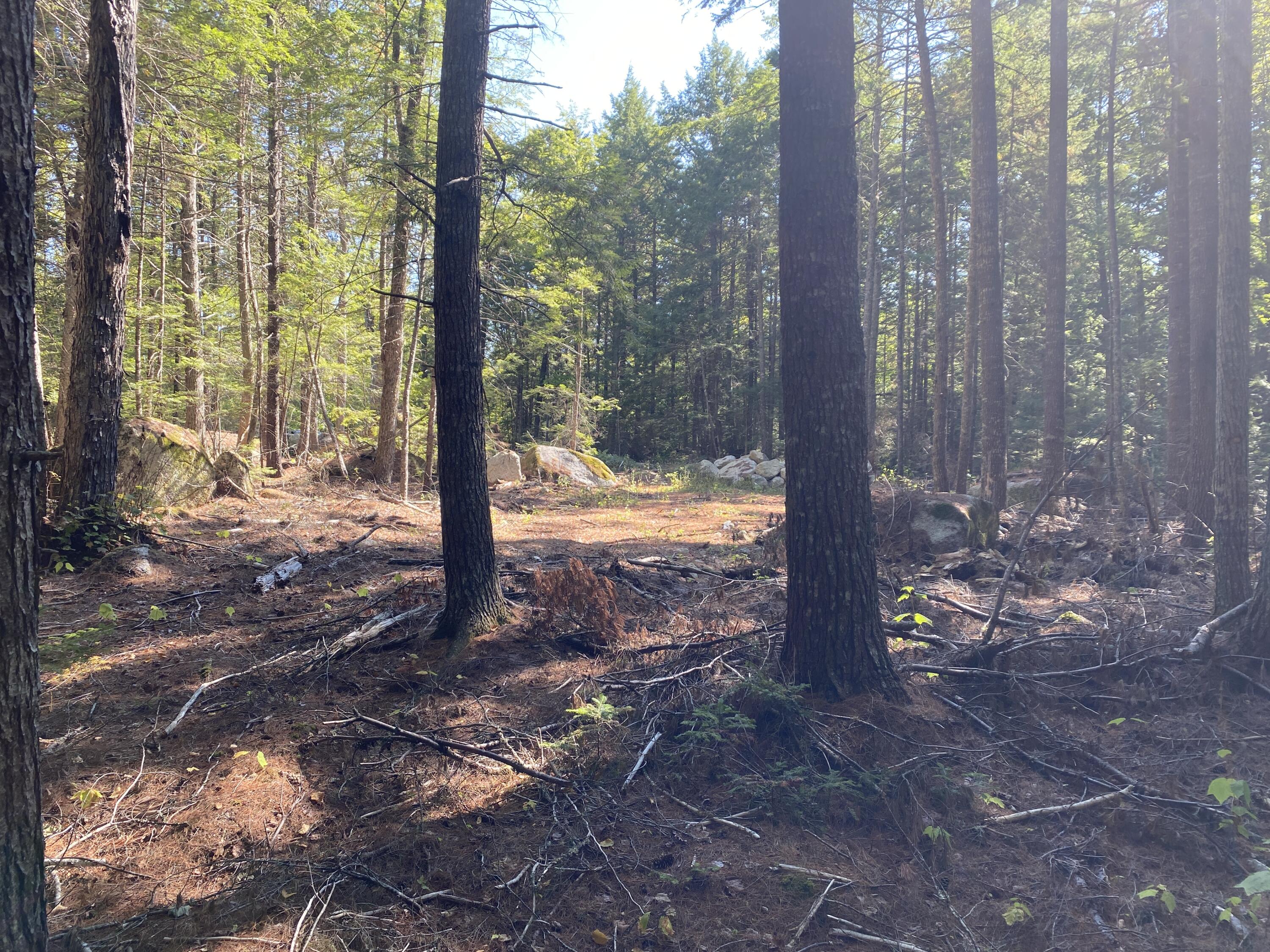 M06-lot18 Sys Road Lakeville, ME 04487 - Photo 7 of 22 IMG_8