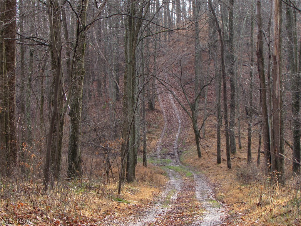 2485 Bunnells Run Road Harrisville, WV 26362 - Photo 5 of 6 Gallery Image 5