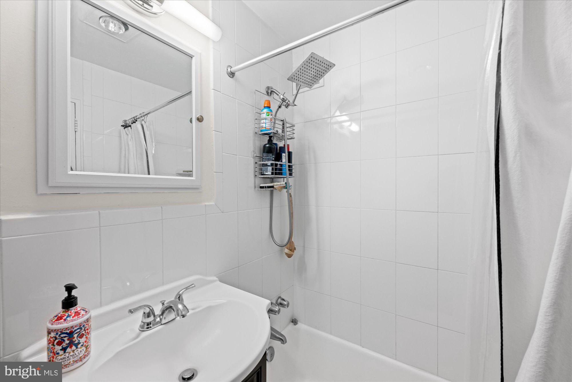 4840 MacArthur Boulevard Northwest, Unit 301 Washington, DC 20007 - Photo 20 of 24 a bathroom with a sink and a bathtub