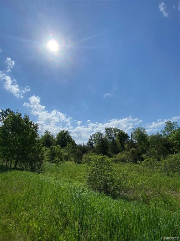 0 Kaiser Road Gregory, MI 48137 - Photo 9 of 29