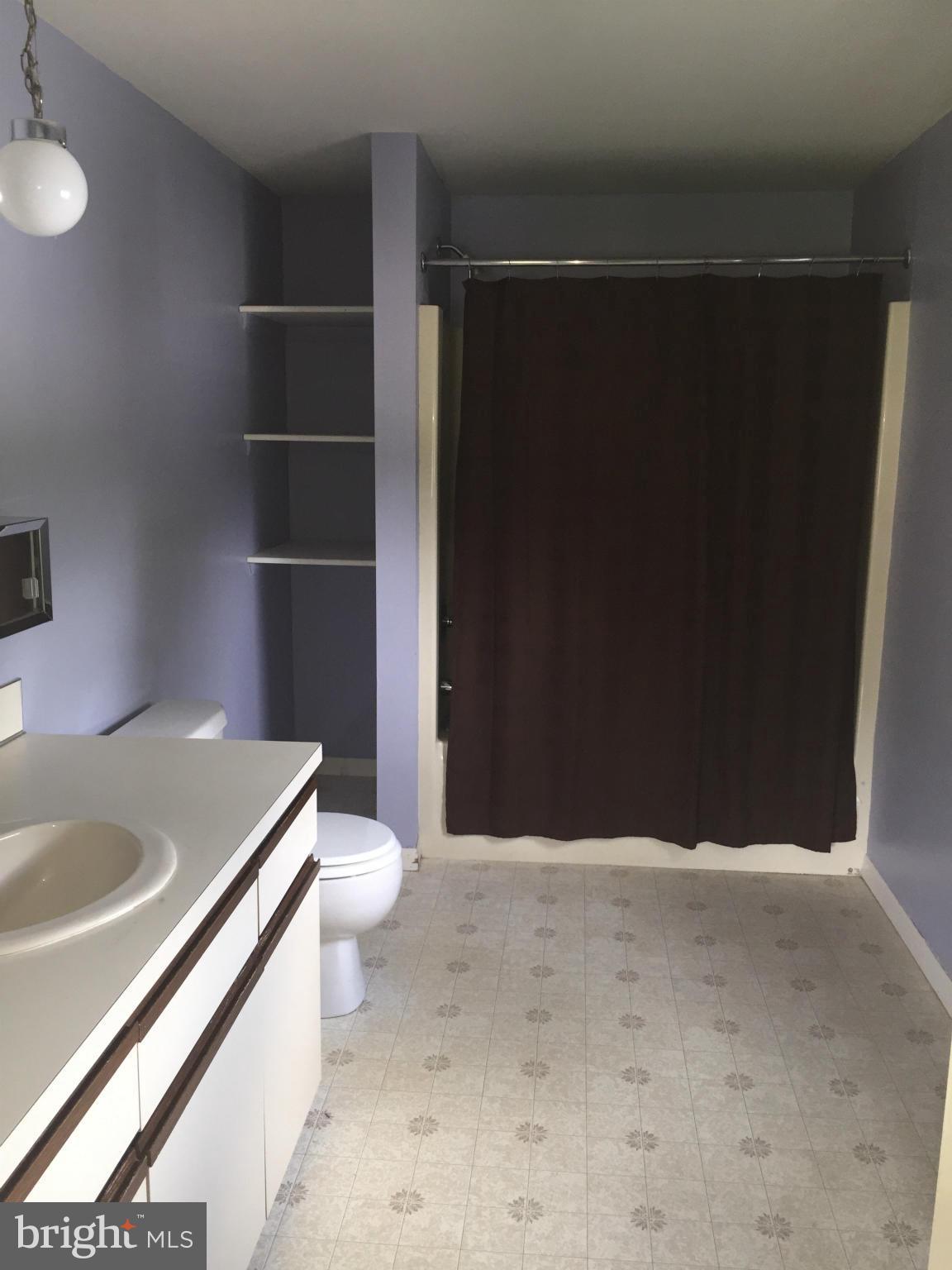 8542 Mapleville Road Boonsboro, MD 21713 - Photo 15 of 29 Bath (Master)