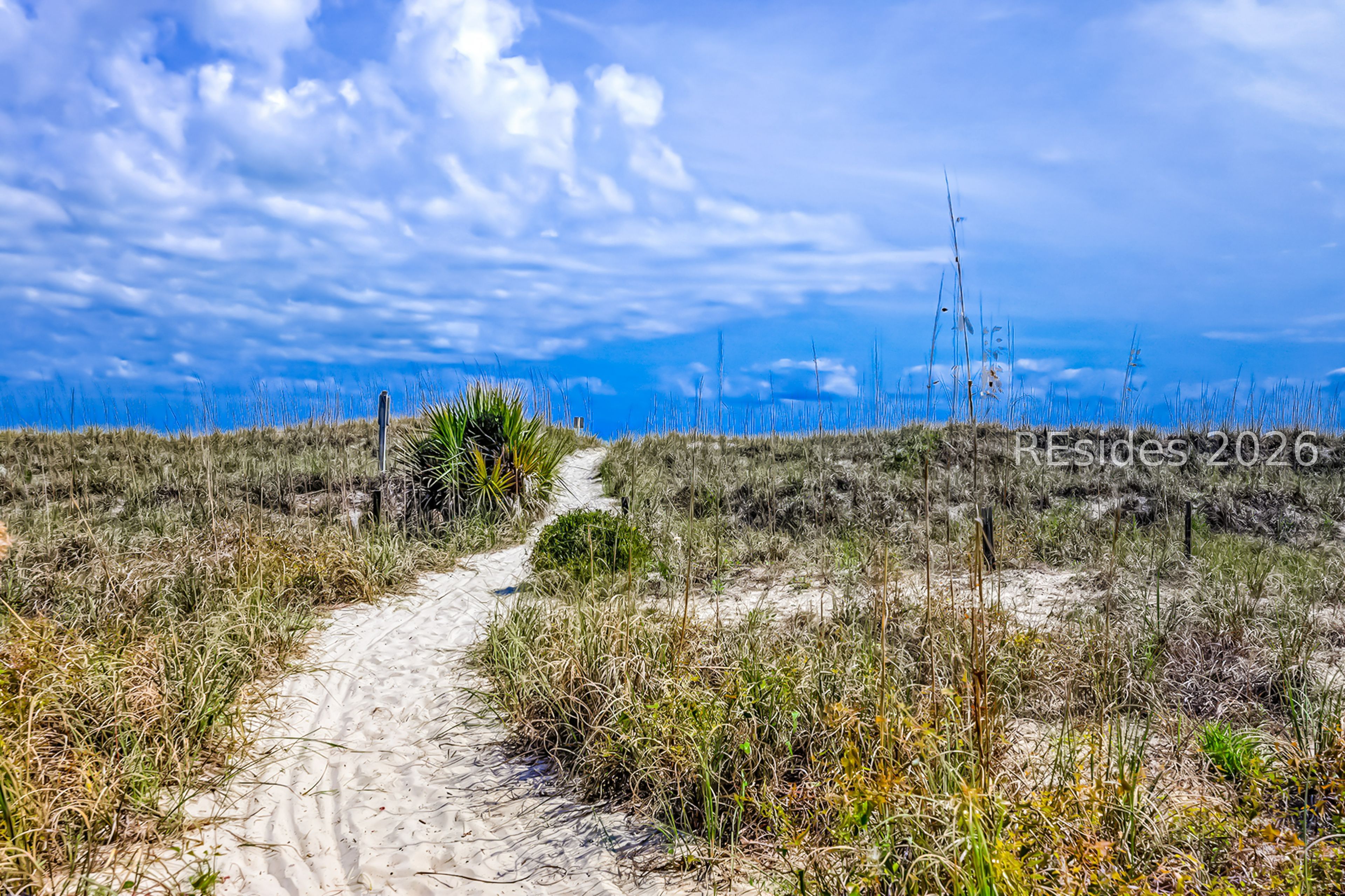 8 Curlew Road Hilton Head Island, SC 29928 - Photo 62 of 70