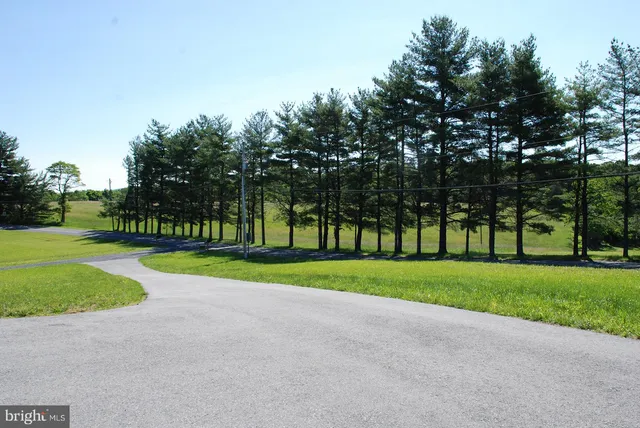 a view of road and trees