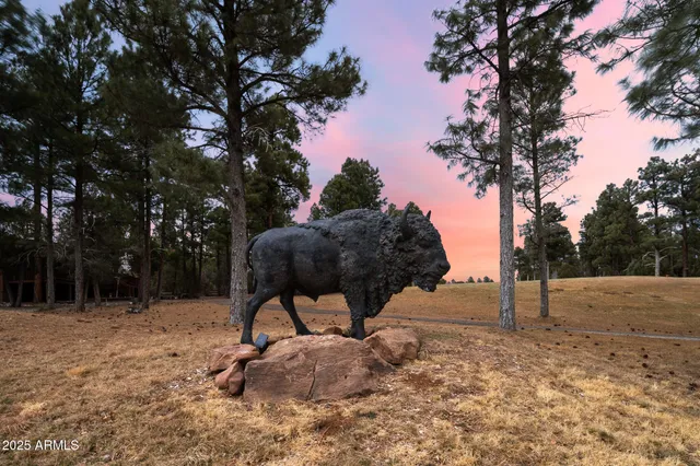a view of backyard with green space