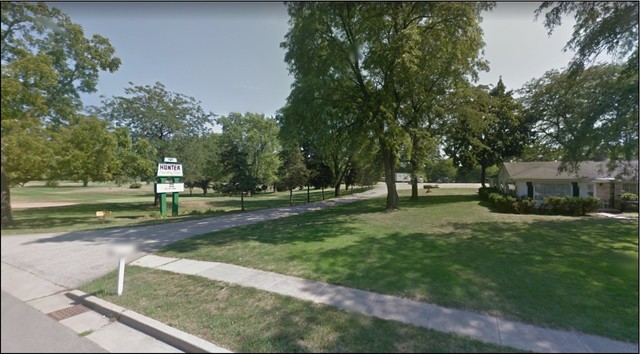 a view of a park with large trees